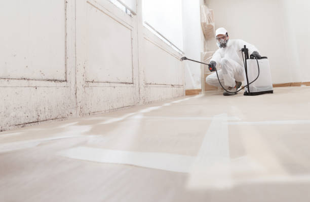 Post-remediation clearance in Arlington Heights
